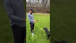 Video post by @barstooloutdoors on YouTube