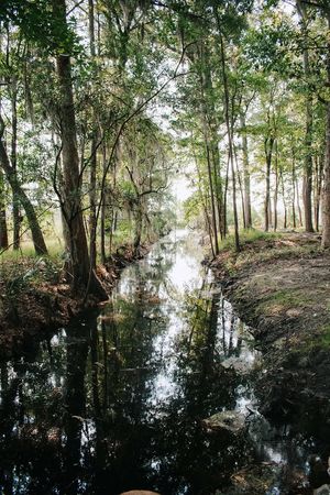 Image post by @charlestoncountyparks on Instagram