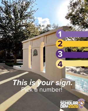 Image post by @lsua.etl on Instagram