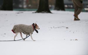 Image post by @theoregonian on Instagram