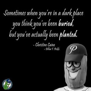 Image post by @picklesbaseball on Instagram
