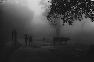 Image post by @rathzsee on Instagram