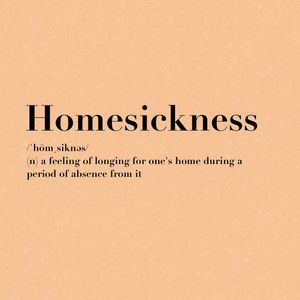 Image post by @circuitsehat on Instagram