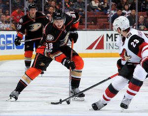 Image post by @anaheimducks on Instagram