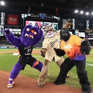 Image post by @DbacksBaxter on Twitter