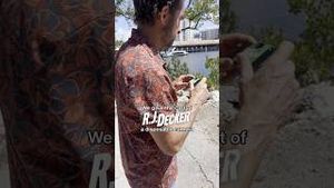 Video post by @abc on YouTube