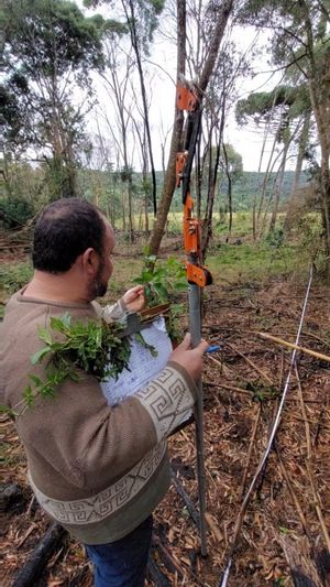 Video post by @operitoambiental on Instagram