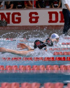 Image post by @packswimdive on Instagram