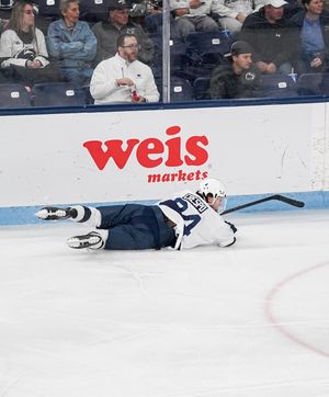 Image post by @pennstatemhky on Instagram