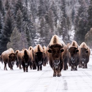 Image post by @discovery on Instagram