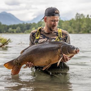 Image post by @brothercarp on Instagram