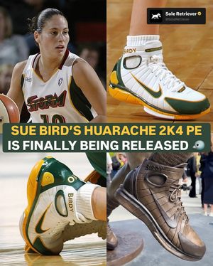 Image post by @soleretriever on Instagram