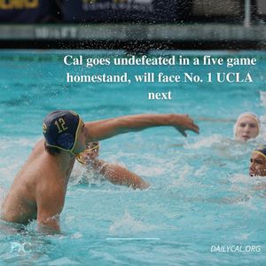 Image post by @dailycalsports on Instagram