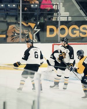 Image post by @bulldogsohl on Instagram