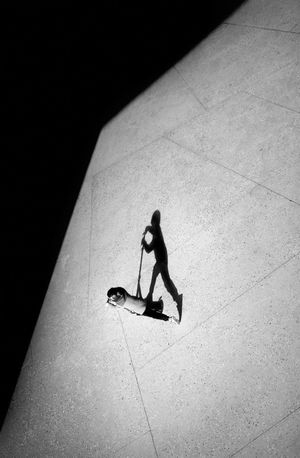 Image post by @leica_camera on Instagram