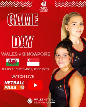 Image post by @walesnetball_ on Instagram