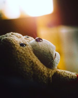 Image post by @chrisbolt on Instagram