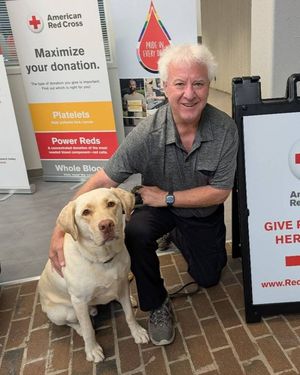 Image post by @americanredcross on Instagram