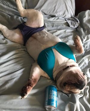 Image post by @longdrink on Instagram