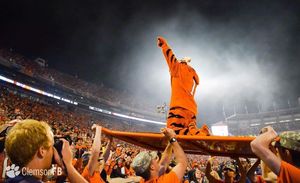 Image post by @thetiger_cu on Instagram