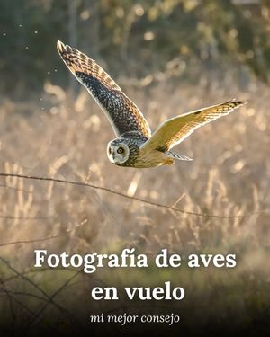 Image post by @fauna.patagonia on Instagram