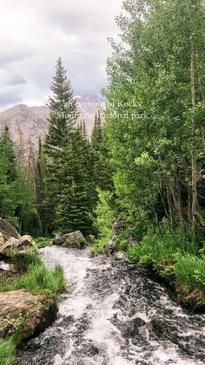 Video post by @filmbychloeg on TikTok