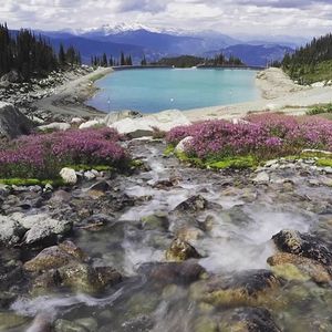 Image post by @whistlerblackcomb on Instagram