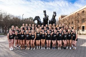 Image post by @smurowing on Instagram