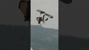 Video post by @zebpowelll on YouTube