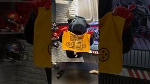 Video post by @texanstoro1 on YouTube