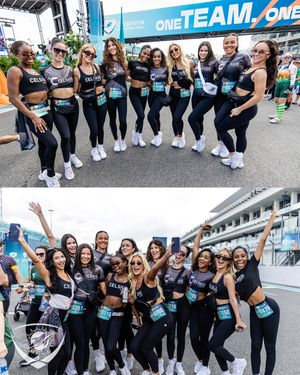 Image post by @dolphinscheer on Instagram