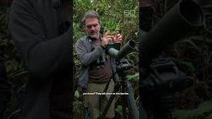 Video post by @60minutes on YouTube