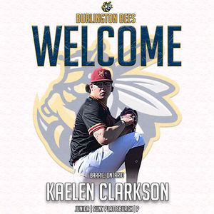 Image post by @burlington_bees on Instagram
