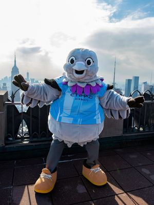 Image post by @skythepigeon on Instagram