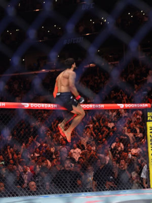 Video post by @ufc on TikTok