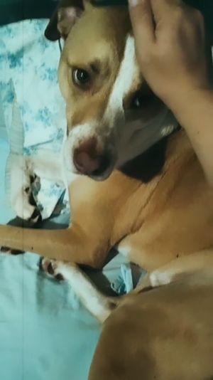 Video post by @alyshiafaith on Instagram