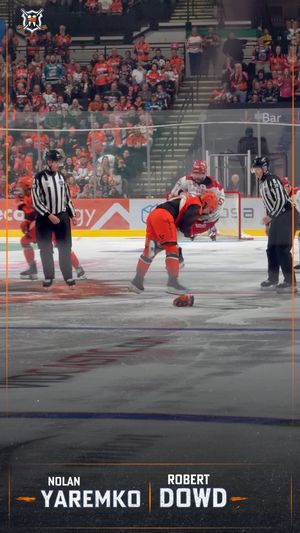 Video post by @hockeyfights on Instagram