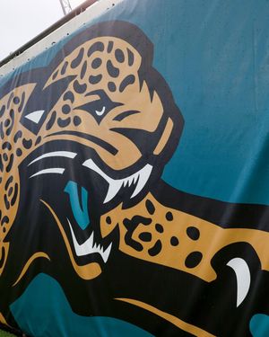 Image post by @jaguars on Instagram