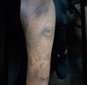 Image post by @skindesigntattoos on Instagram