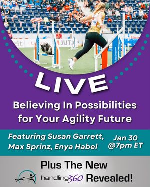 Image post by @susangarrettdogsthat on Instagram