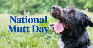 Image post by @company/nationwidepet on LinkedIn