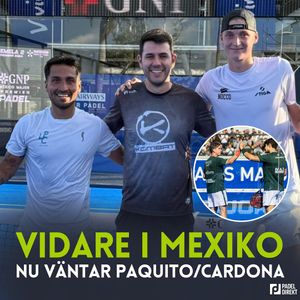 Image post by @padeldirekt on Instagram