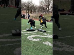 Video post by @minnesotavixen on YouTube