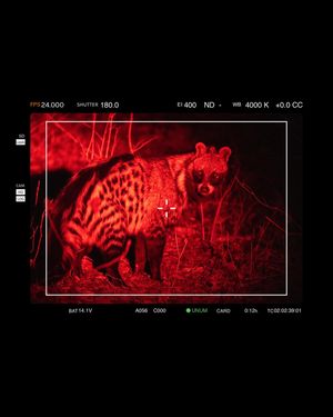 Image post by @chiawasafaris on Instagram