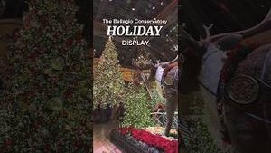 Video post by @Visit Las Vegas on YouTube