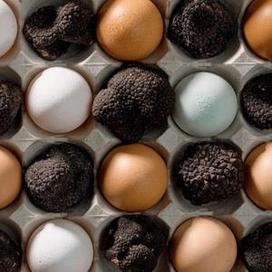 Image post by @conestoga_eggs on Instagram