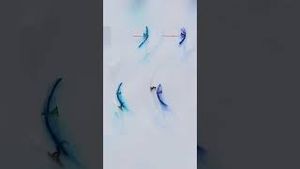 Video post by @nbcsports on YouTube