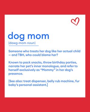 Image post by @petsmart on Instagram