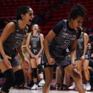 Image post by @utahwbb on Instagram