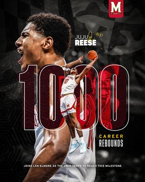 Image post by @terrapinhoops on Instagram